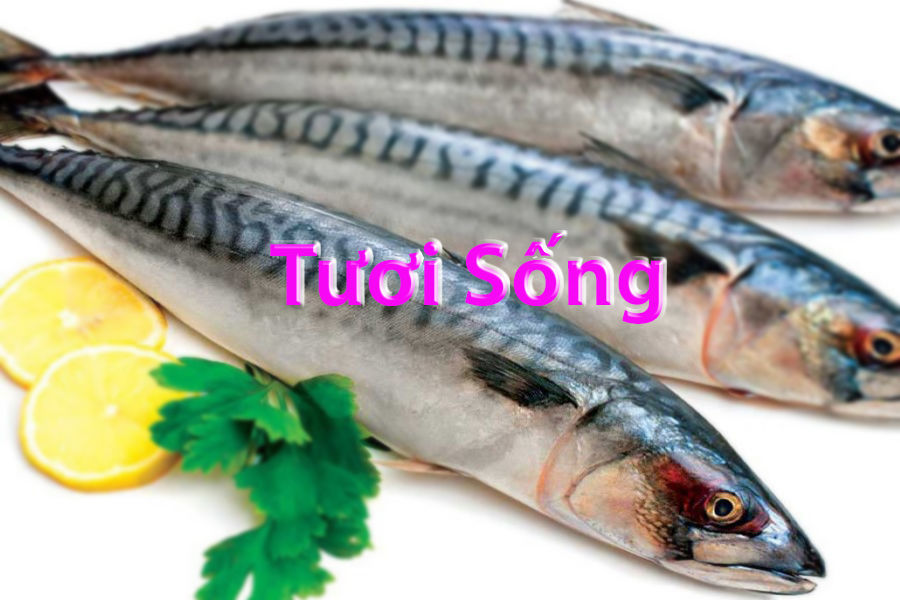 Hình ảnh cho danh mục HÀNG TƯƠI SỐNG